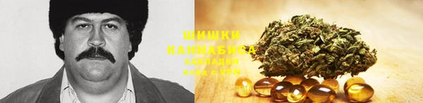 твердый Елизово