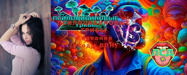 мяу мяу мука Заволжск