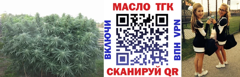 Дистиллят ТГК жижа  Купить закладки  Киржач 